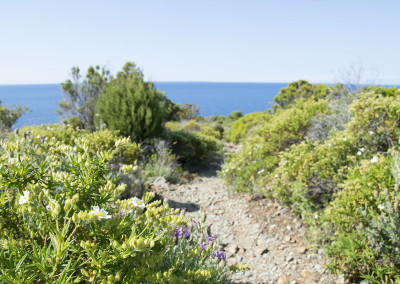 Bikehotel Montemerlo - Fetovaia Elba