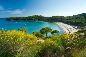 Elba Island - Bay and beach of Fetovaia